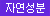 [엔시토] 슬림핏 10P Slim&Slim Fit(슬림형)